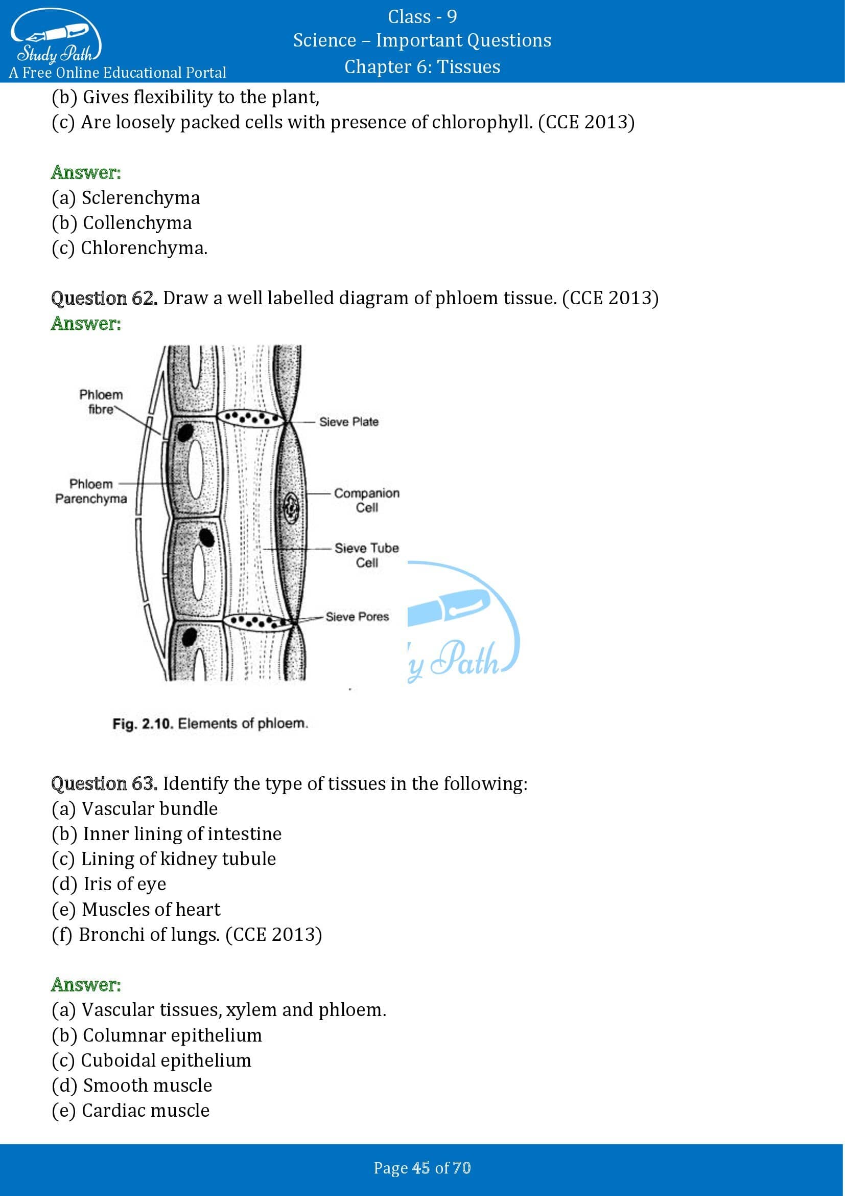 Important Questions for Class 9 Science Chapter 6 Tissues 00045