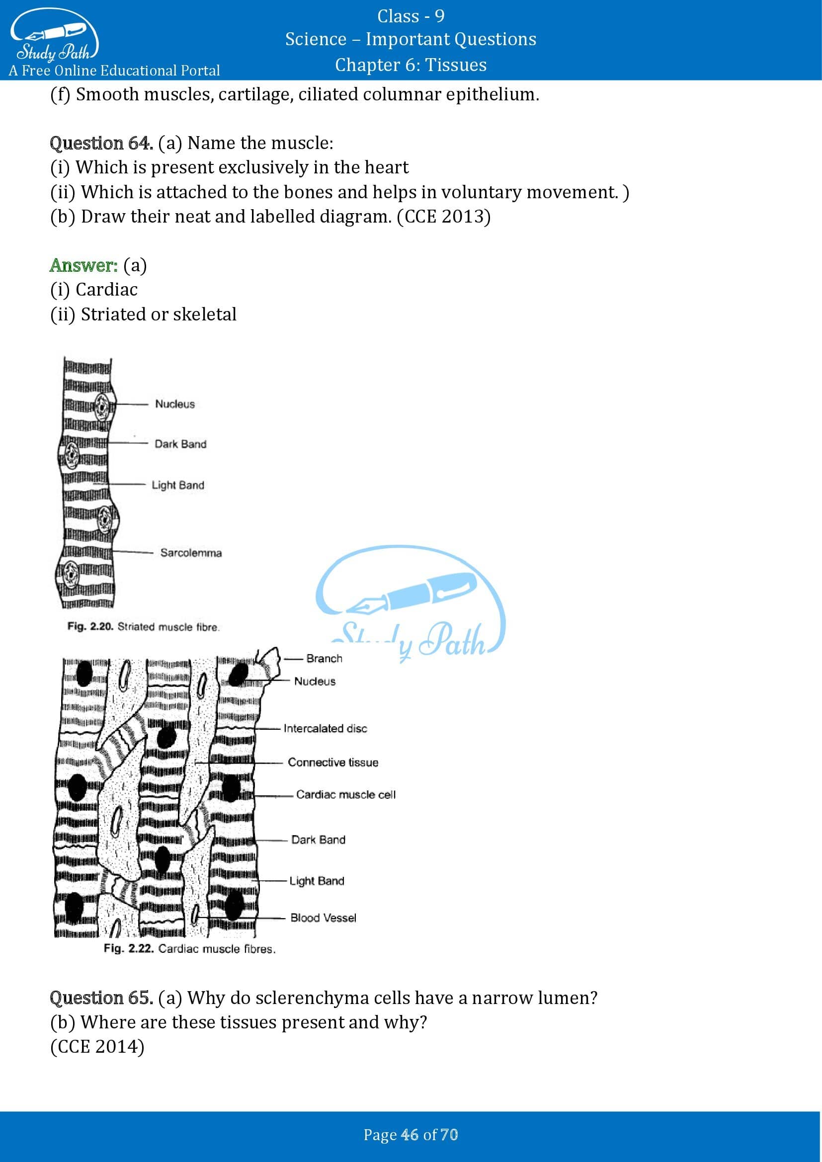 Important Questions for Class 9 Science Chapter 6 Tissues 00046