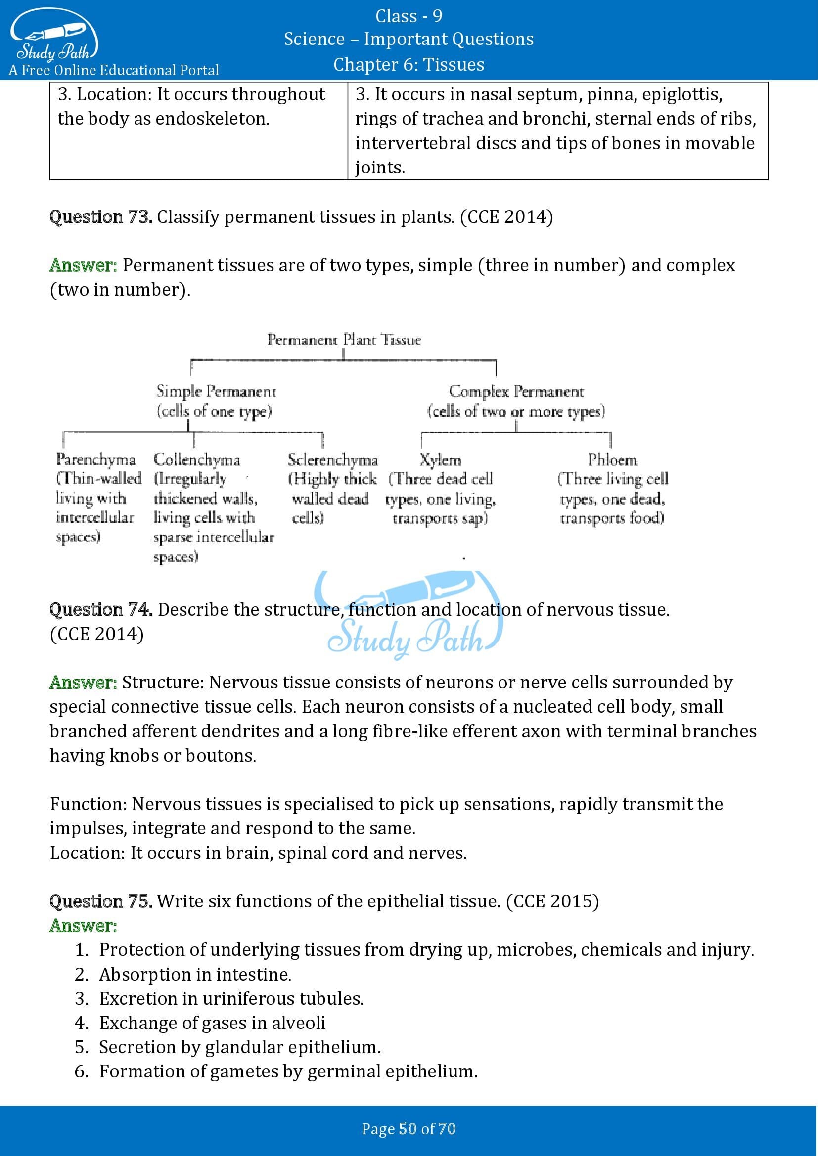 Important Questions for Class 9 Science Chapter 6 Tissues 00050