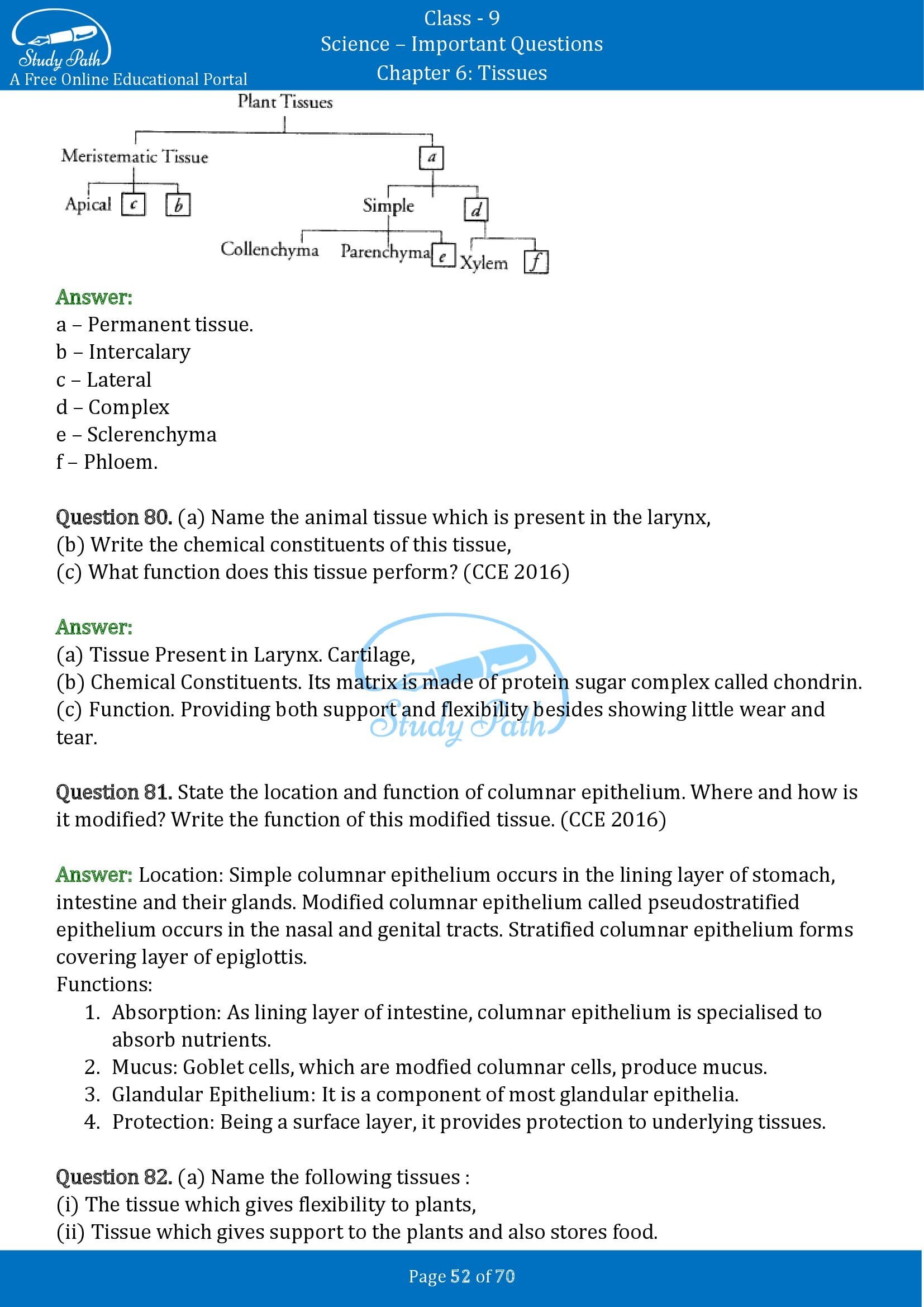 Important Questions for Class 9 Science Chapter 6 Tissues 00052