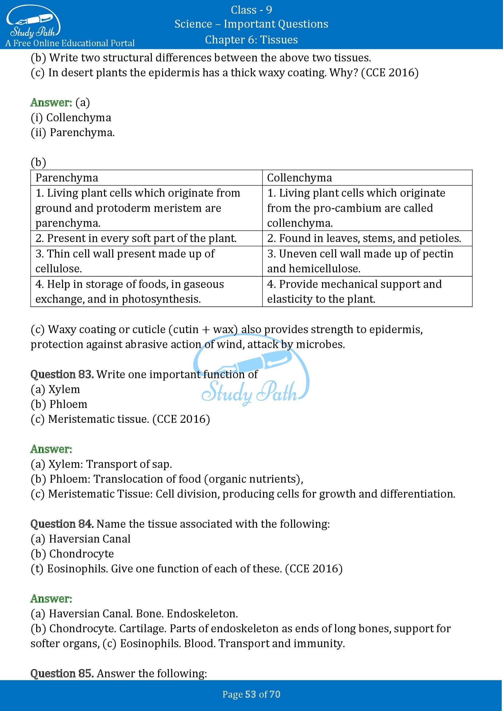 Important Questions for Class 9 Science Chapter 6 Tissues 00053