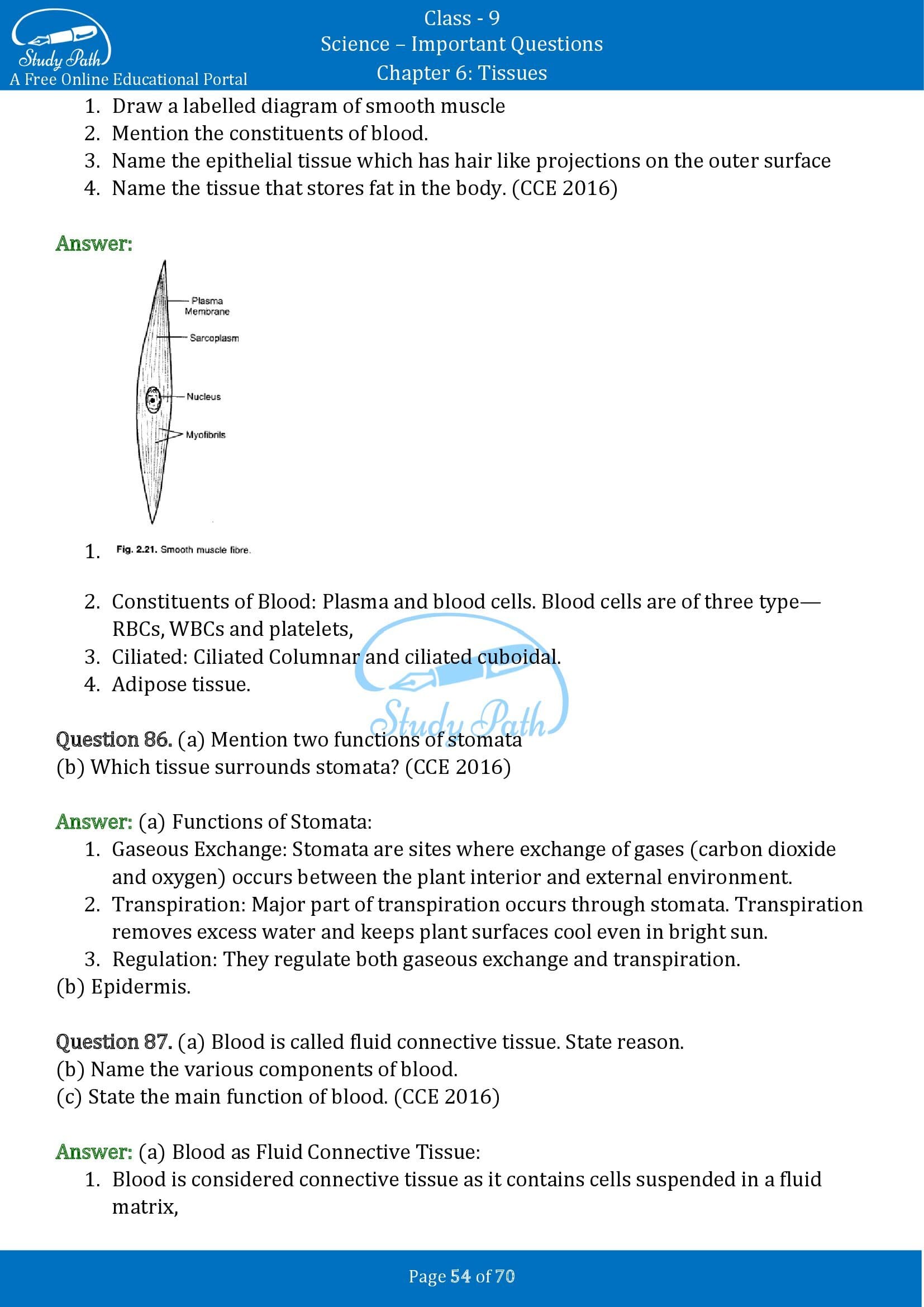 Important Questions for Class 9 Science Chapter 6 Tissues 00054