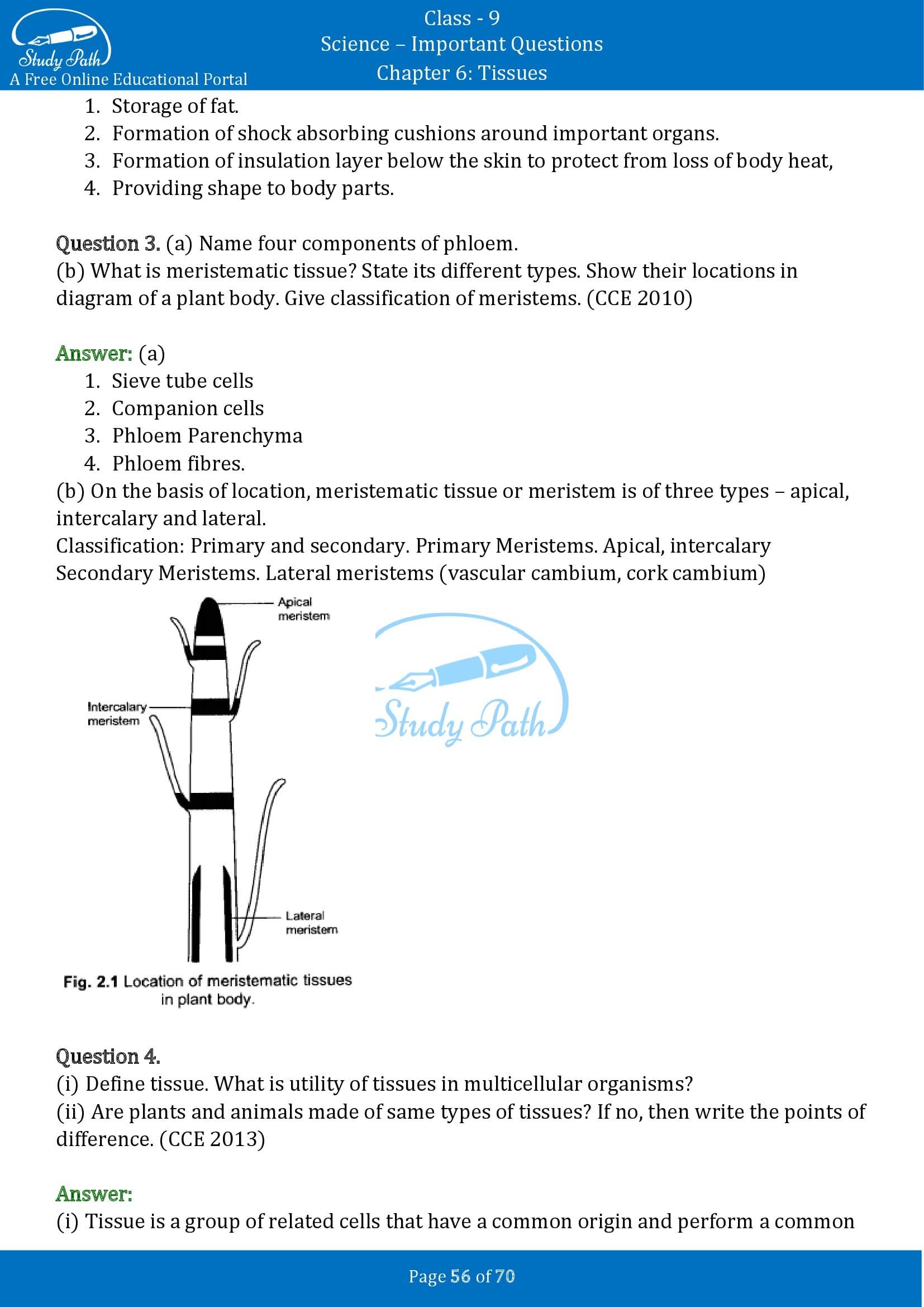 Important Questions for Class 9 Science Chapter 6 Tissues 00056