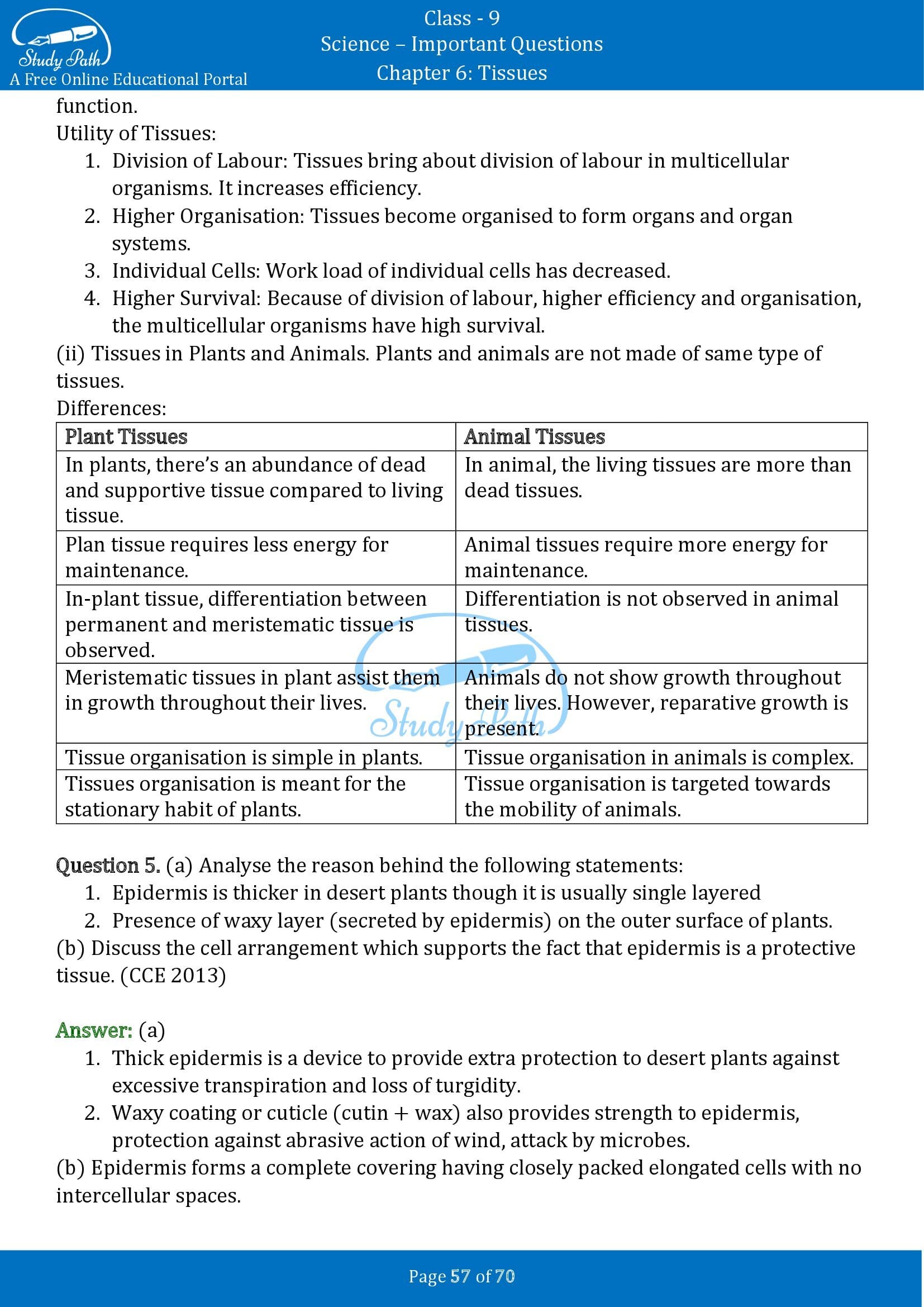 Important Questions for Class 9 Science Chapter 6 Tissues 00057