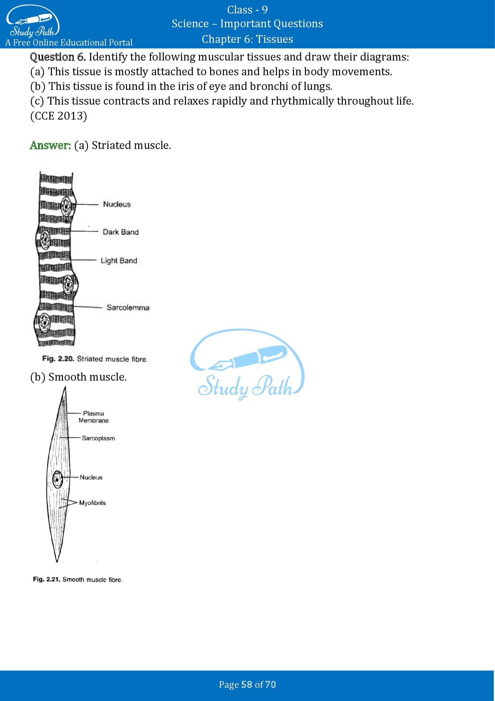 Important Questions for Class 9 Science Chapter 6 Tissues 00058