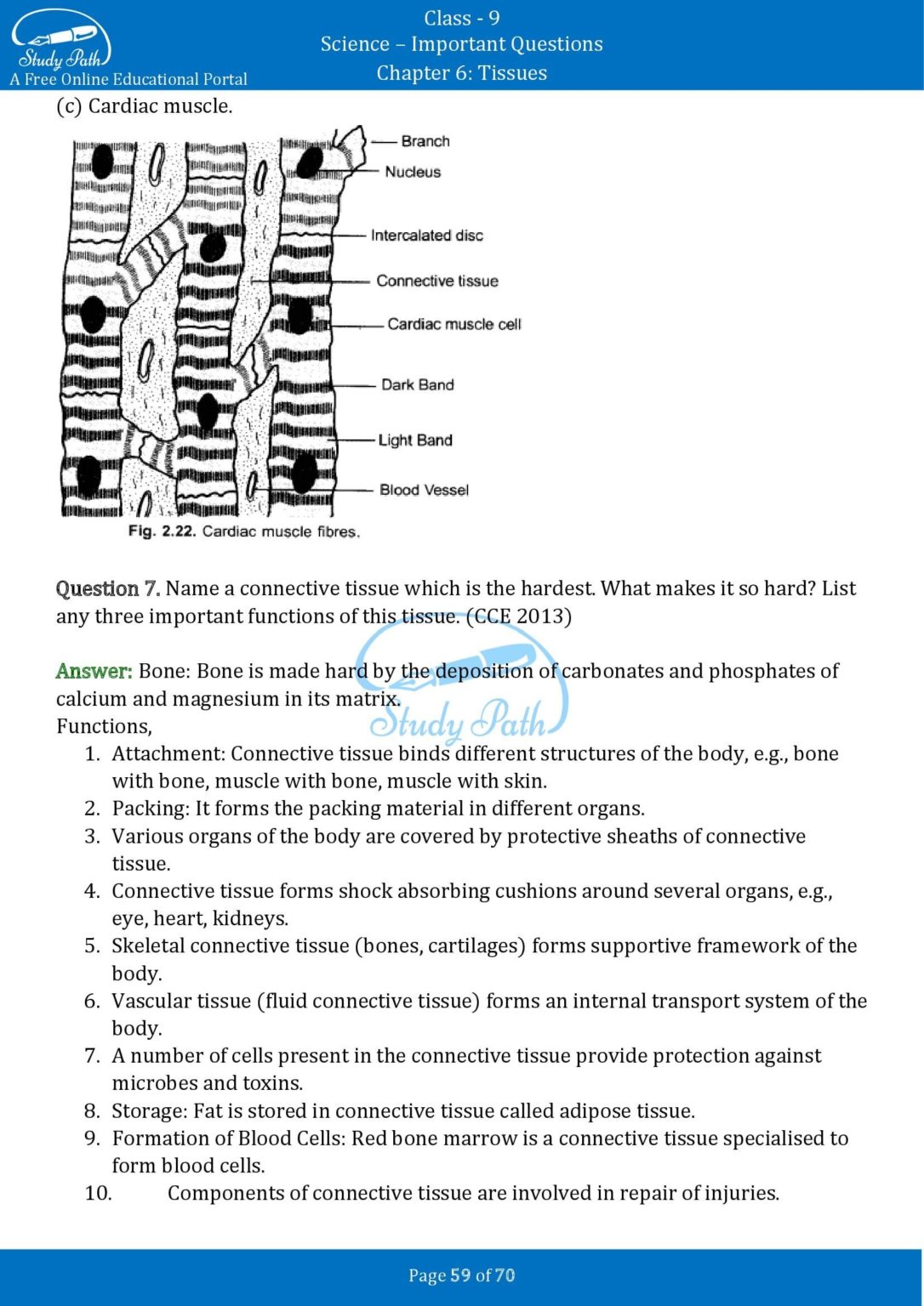 class 9 science tissues case study questions