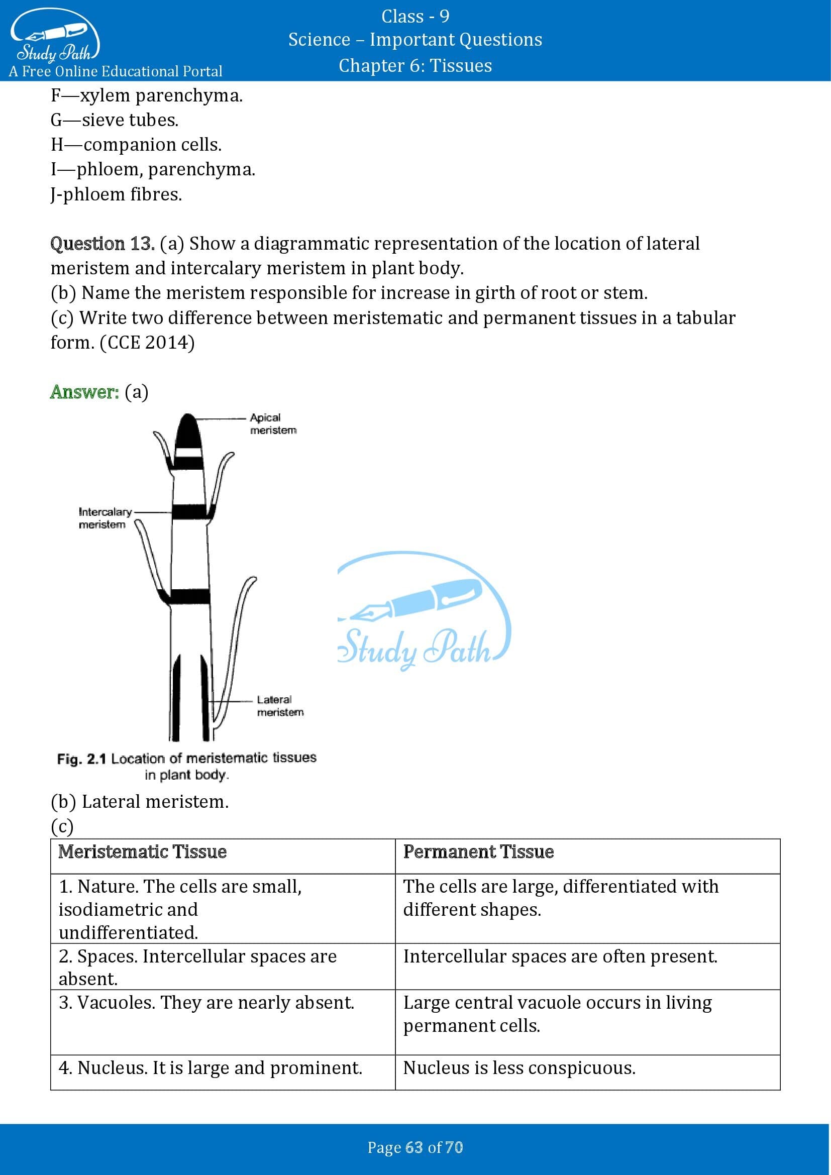 Important Questions for Class 9 Science Chapter 6 Tissues 00063