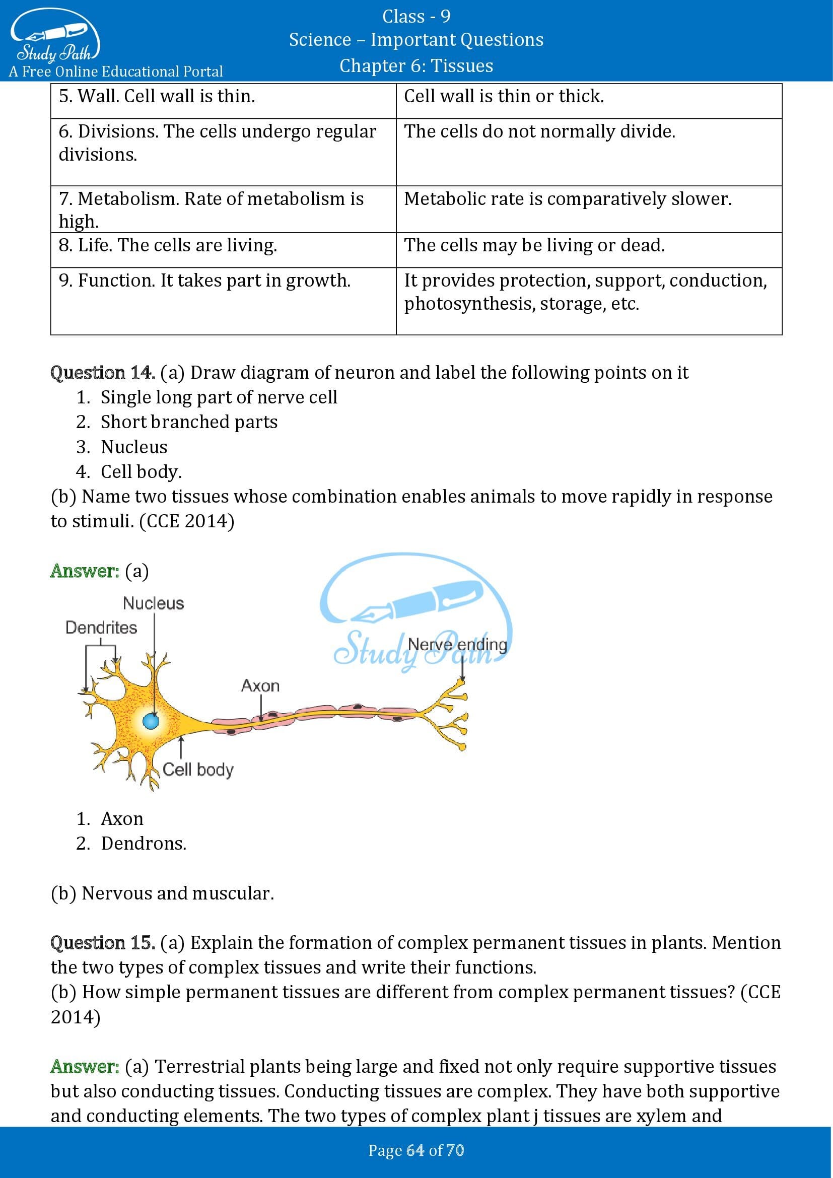 Important Questions for Class 9 Science Chapter 6 Tissues 00064