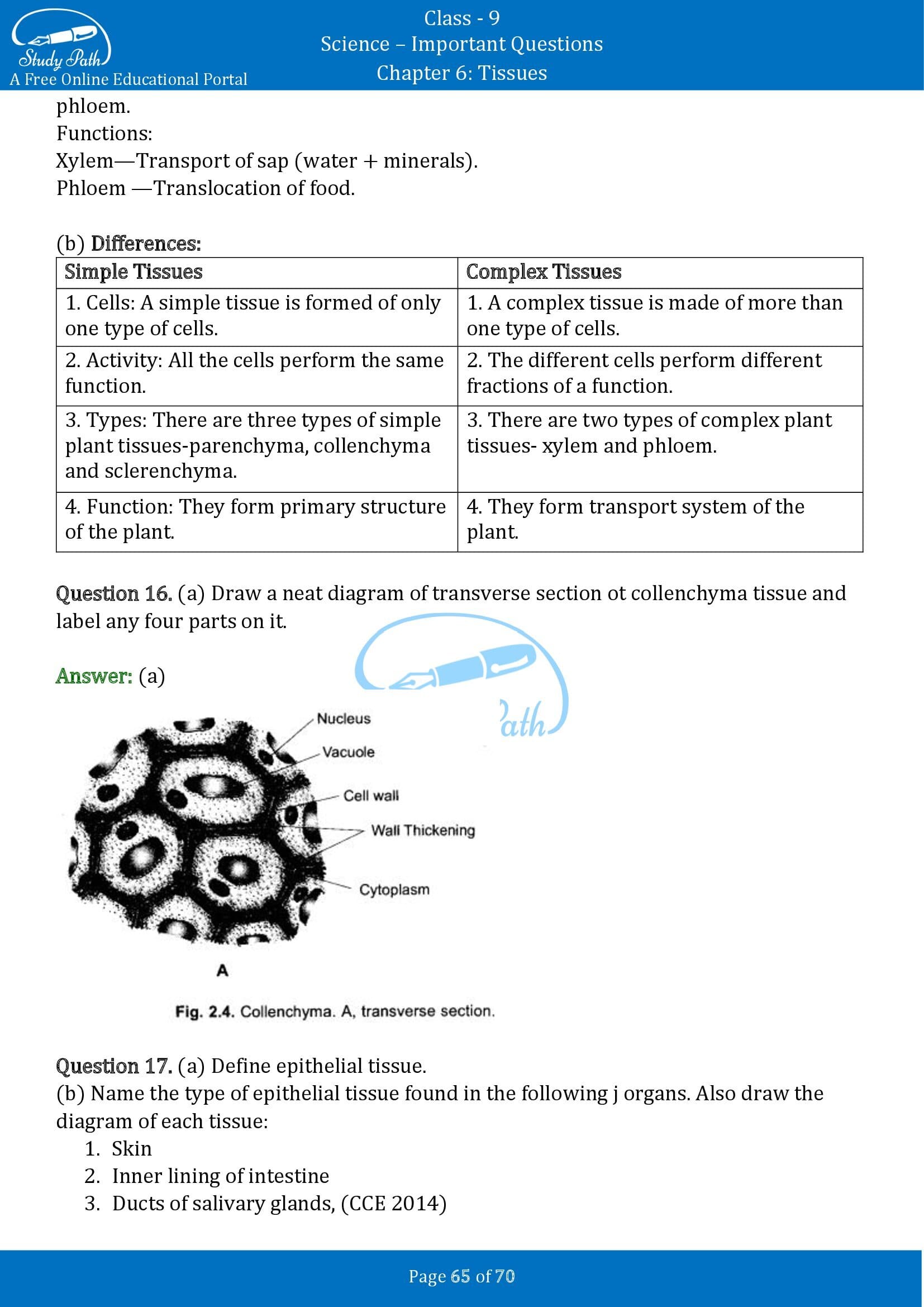 case study questions for class 9 science tissues