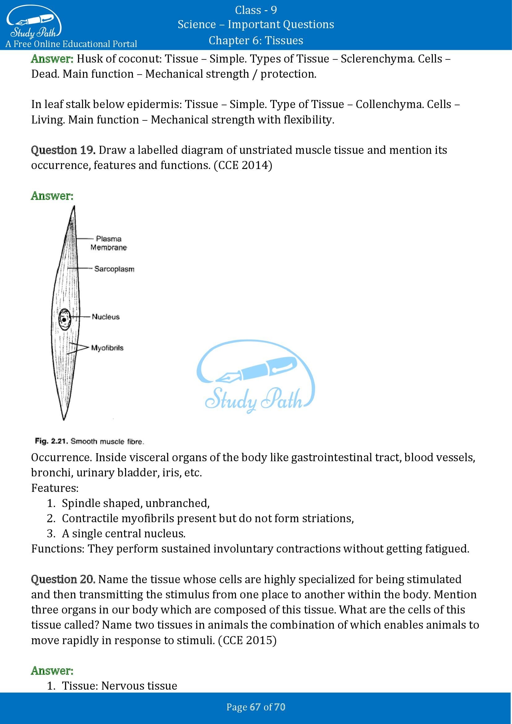 Important Questions for Class 9 Science Chapter 6 Tissues 00067