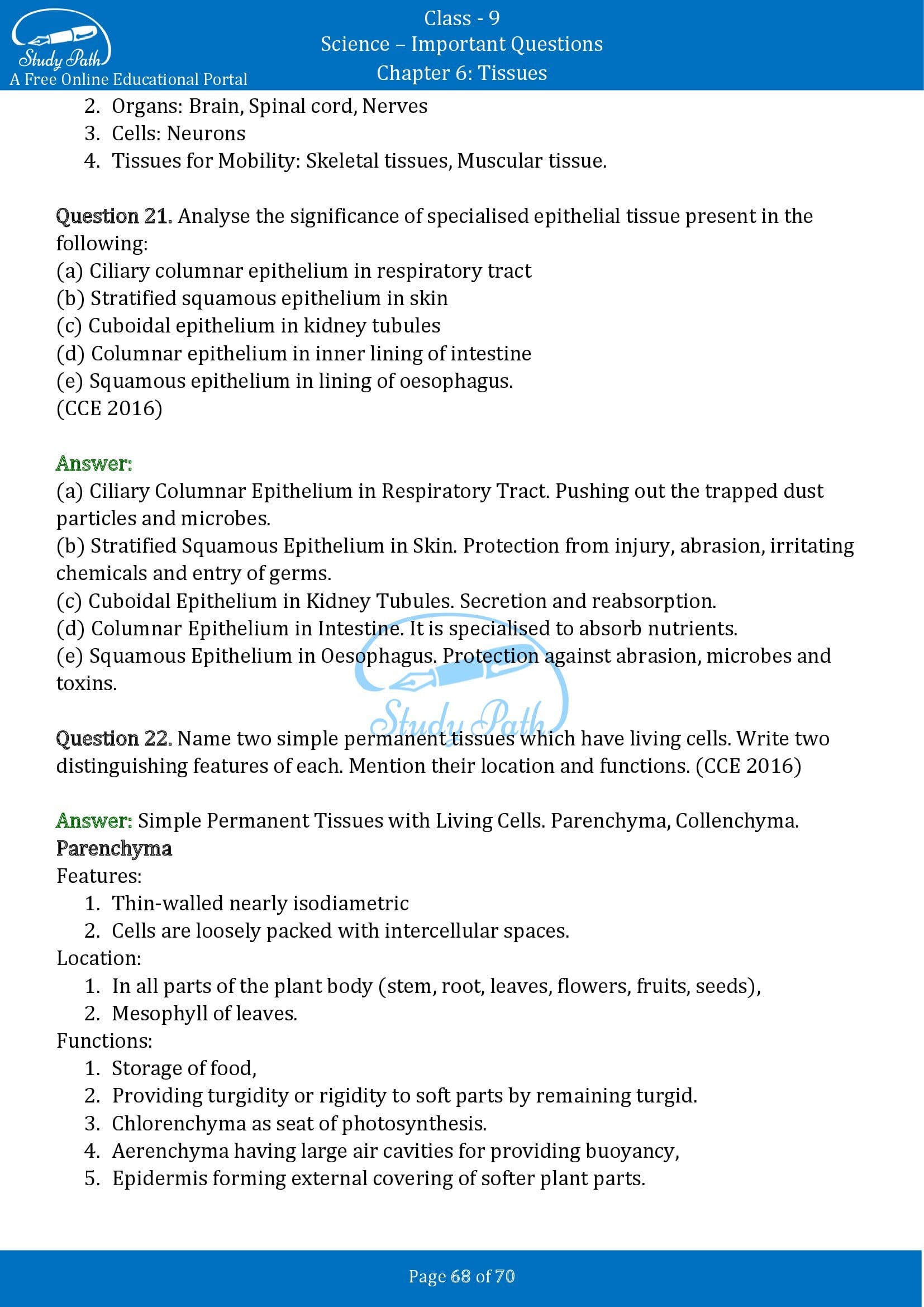 Important Questions for Class 9 Science Chapter 6 Tissues 00068