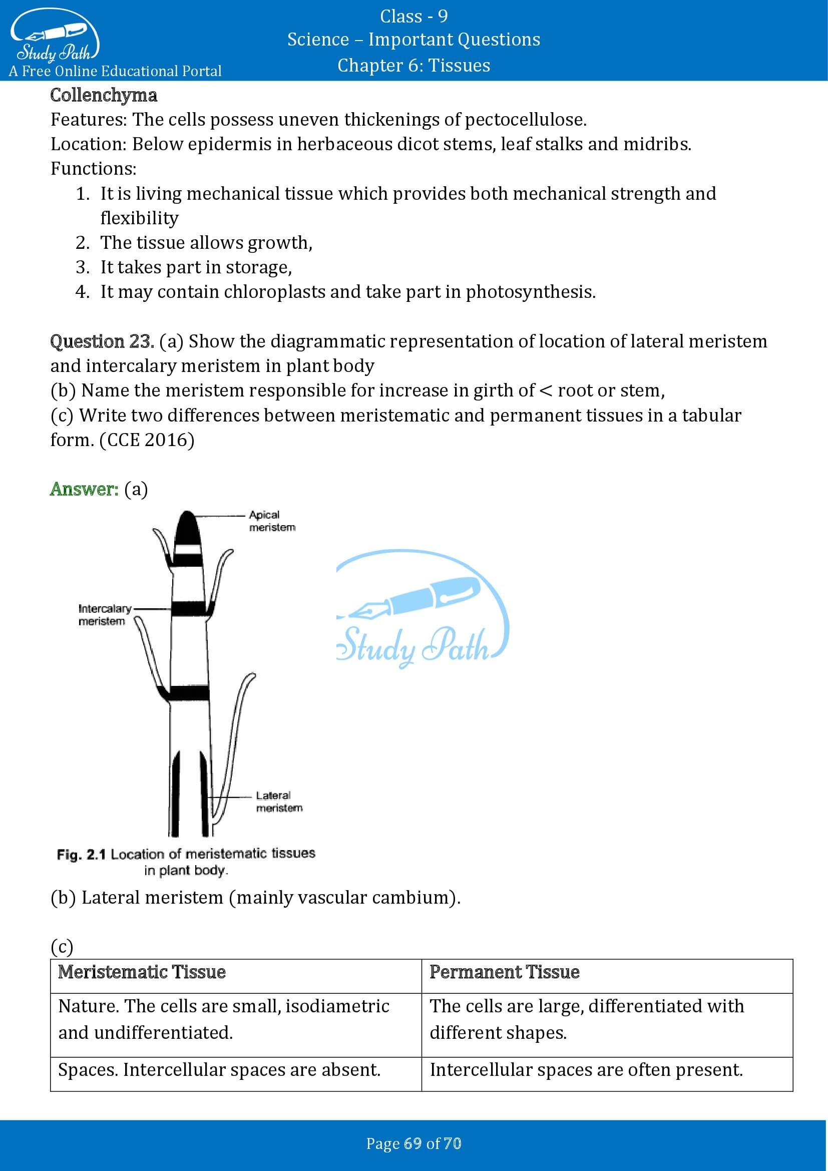 Important Questions for Class 9 Science Chapter 6 Tissues 00069