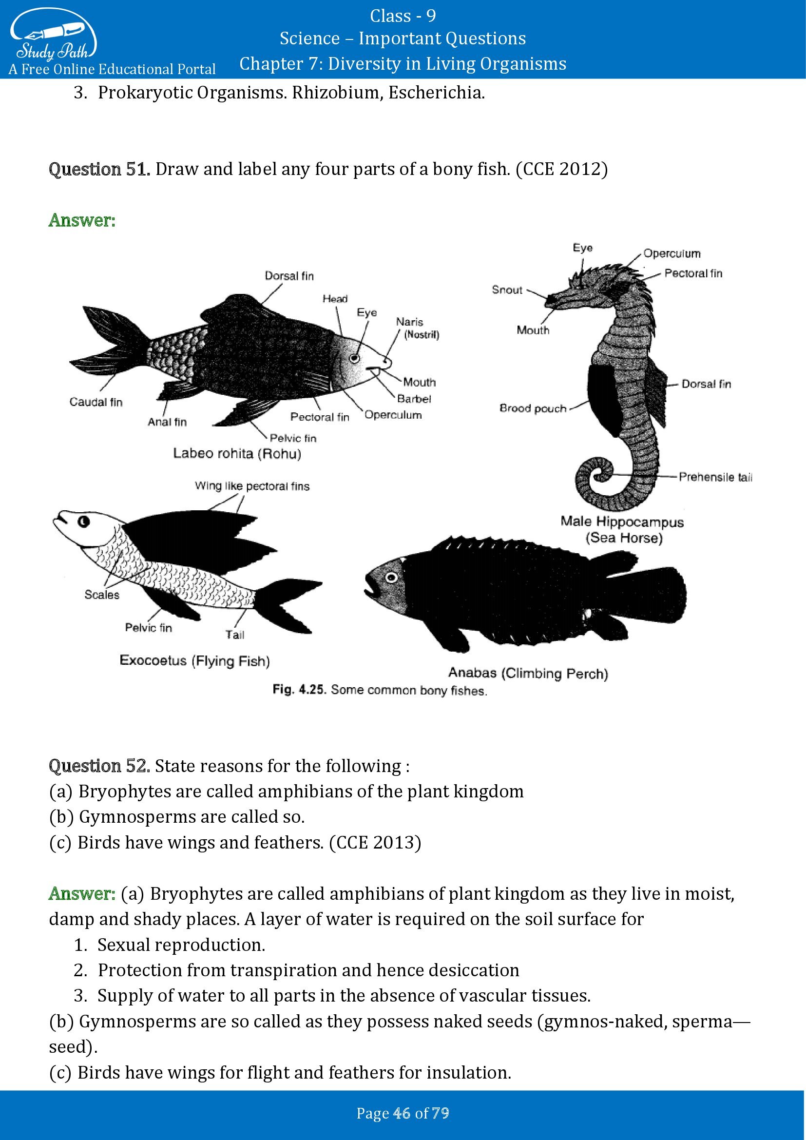 Important Questions for Class 9 Science Chapter 7 Diversity in Living Organisms 00046