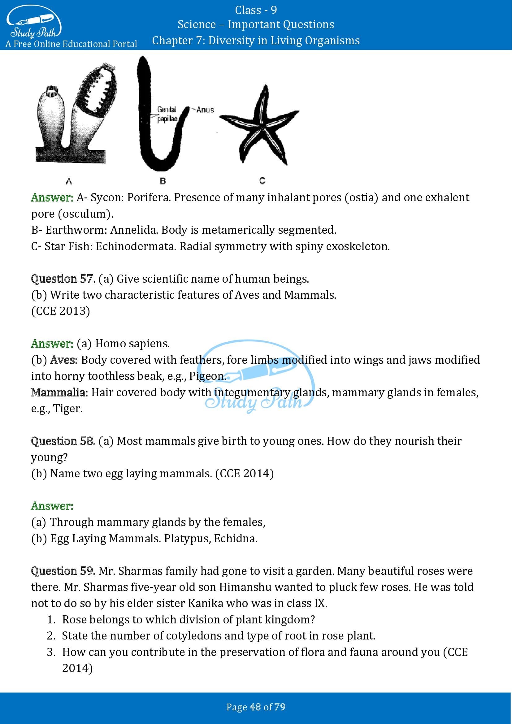 Important Questions for Class 9 Science Chapter 7 Diversity in Living Organisms 00048