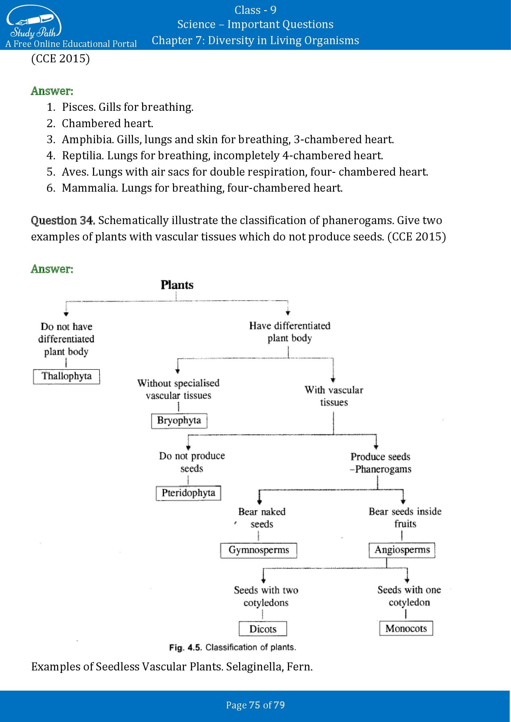 Important Questions for Class 9 Science Chapter 7 Diversity in Living Organisms 00075