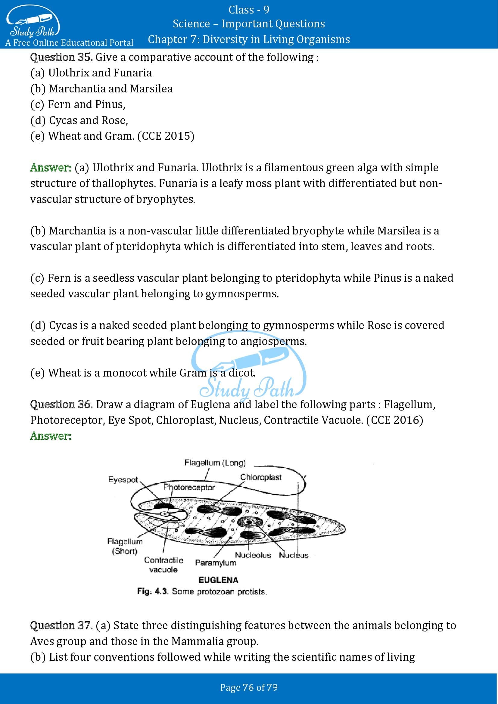 Important Questions for Class 9 Science Chapter 7 Diversity in Living Organisms 00076