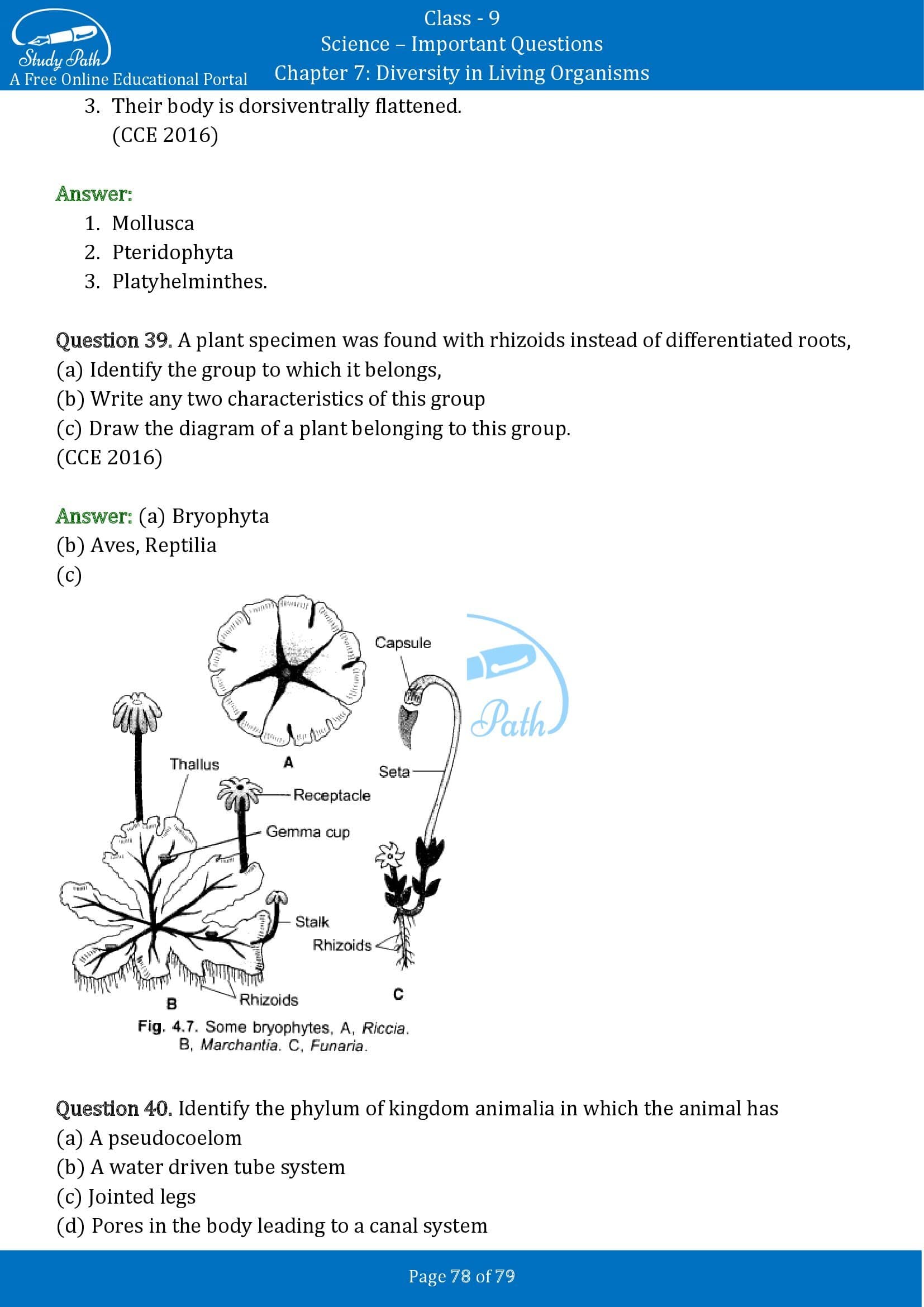 Important Questions for Class 9 Science Chapter 7 Diversity in Living Organisms 00078