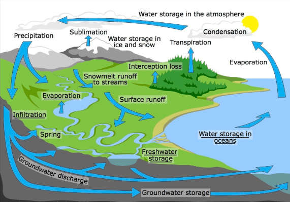 Class 7 Geography Chapter 1 Environment Important Questions and Answers 1