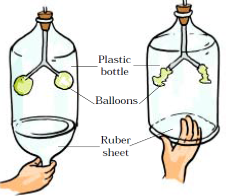 Extra Questions for Class 7 Science Chapter 10 Respiration in Organisms image 1