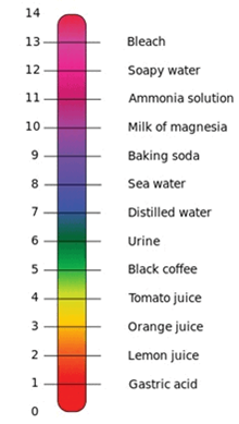 Important Questions for Class 7 Science Chapter 5 Acids Bases and Salts image 1