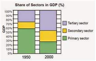 NCERT Solutions for Class 10 Economics Chapter 2 Sectors of the Indian Economy image 1