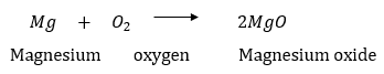 NCERT Solutions for Class 10 Science Chapter 1 Chemical Reactions and Equations image 1