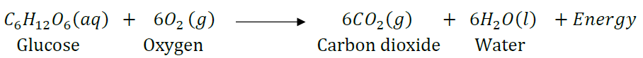 NCERT Solutions for Class 10 Science Chapter 1 Chemical Reactions and Equations image 14