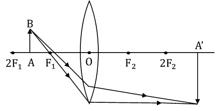 NCERT Solutions for Class 10 Science Chapter 10 Light Reflection and Refraction image 13