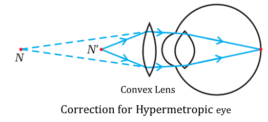 NCERT Solutions for Class 10 Science Chapter 11 Human Eye and the Colourful World image 5