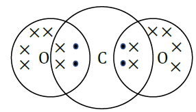 NCERT Solutions for Class 10 Science Chapter 4 Carbon and its Compounds image 1