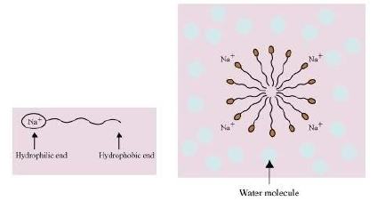 NCERT Solutions for Class 10 Science Chapter 4 Carbon and its Compounds image 14