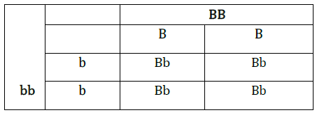 NCERT Solutions for Class 10 Science Chapter 9 Heredity and Evolution image 10