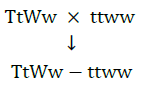 NCERT Solutions for Class 10 Science Chapter 9 Heredity and Evolution image 7