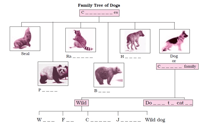 NCERT Solutions for Class 6 English Honeysuckle Chapter 2 How the Dog Find Himself a Master image 3