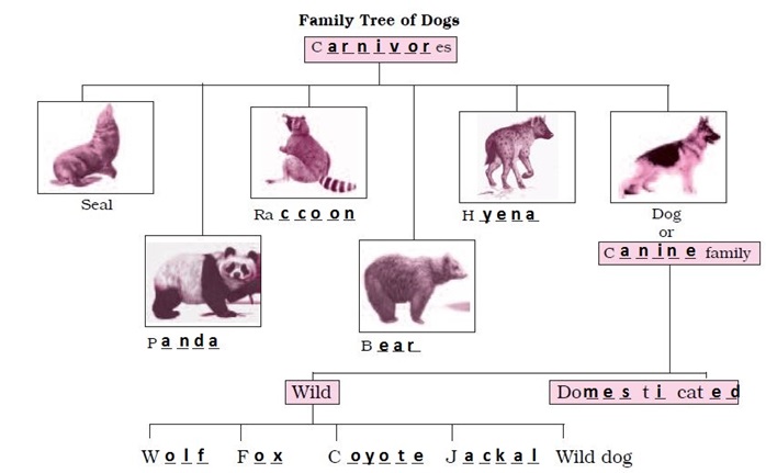 NCERT Solutions for Class 6 English Honeysuckle Chapter 2 How the Dog Find Himself a Master image 4