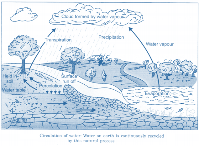 NCERT Solutions for Class 6 Science Chapter 14 Water image 2