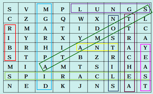 NCERT Solutions for Class 7 Science Chapter 10 Respiration in Organisms image 2