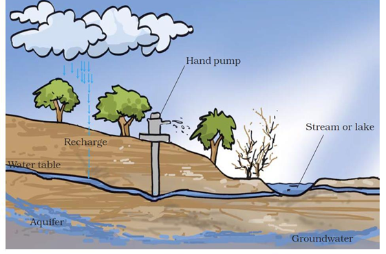 NCERT Solutions for Class 7 Science Chapter 16 Water A Precious Resource image 1