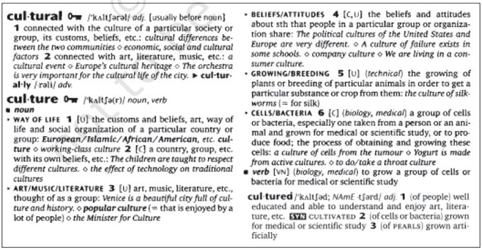 NCERT Solutions for Class 9 English Beehive Chapter 11 If I Were You Part 1