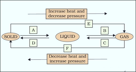 NCERT Solutions for Class 9 Science Chapter 1 Matter in Our Surroundings image 3