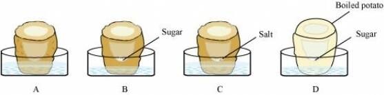 NCERT Solutions for Class 9 Science Chapter 5 The Fundamental Unit of Life part 1