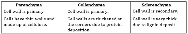 NCERT Solutions for Class 9 Science Chapter 6 Tissues part 2