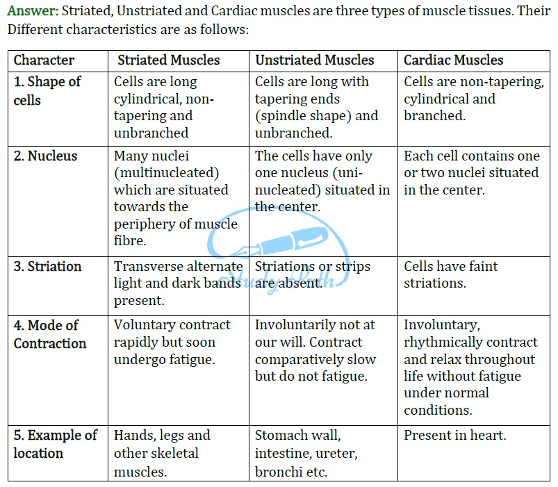 NCERT Solutions for Class 9 Science Chapter 6 Tissues part 4