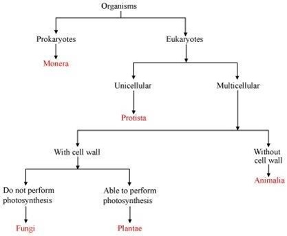 NCERT Solutions for Class 9 Science Chapter 7 Diversity in Living Organisms part 1