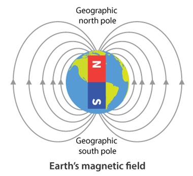 CBSE Class 6 Science Notes Chapter 13 Fun with Magnets – Study Path