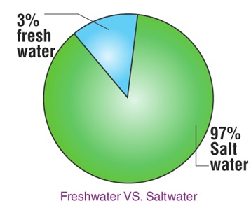 CBSE Class 6 Science Notes Chapter 14 Water part 2