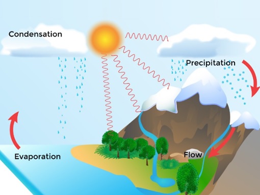 CBSE Class 6 Science Notes Chapter 14 Water part 3