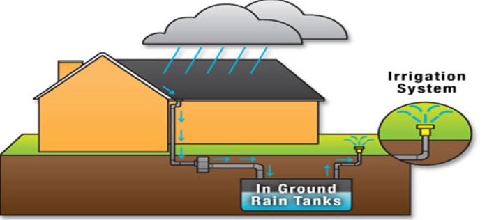 CBSE Class 6 Science Notes Chapter 14 Water part 4