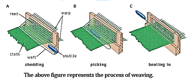 CBSE Class 6 Science Notes Chapter 3 Fibre to Fabric part 3