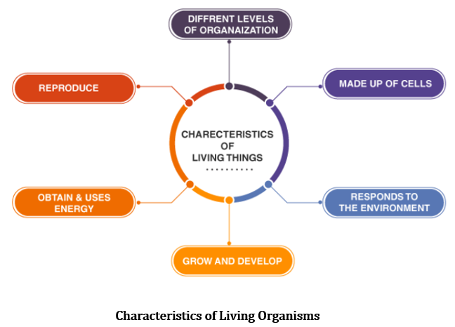 CBSE Class 6 Science Notes Chapter 9 The Living Organisms